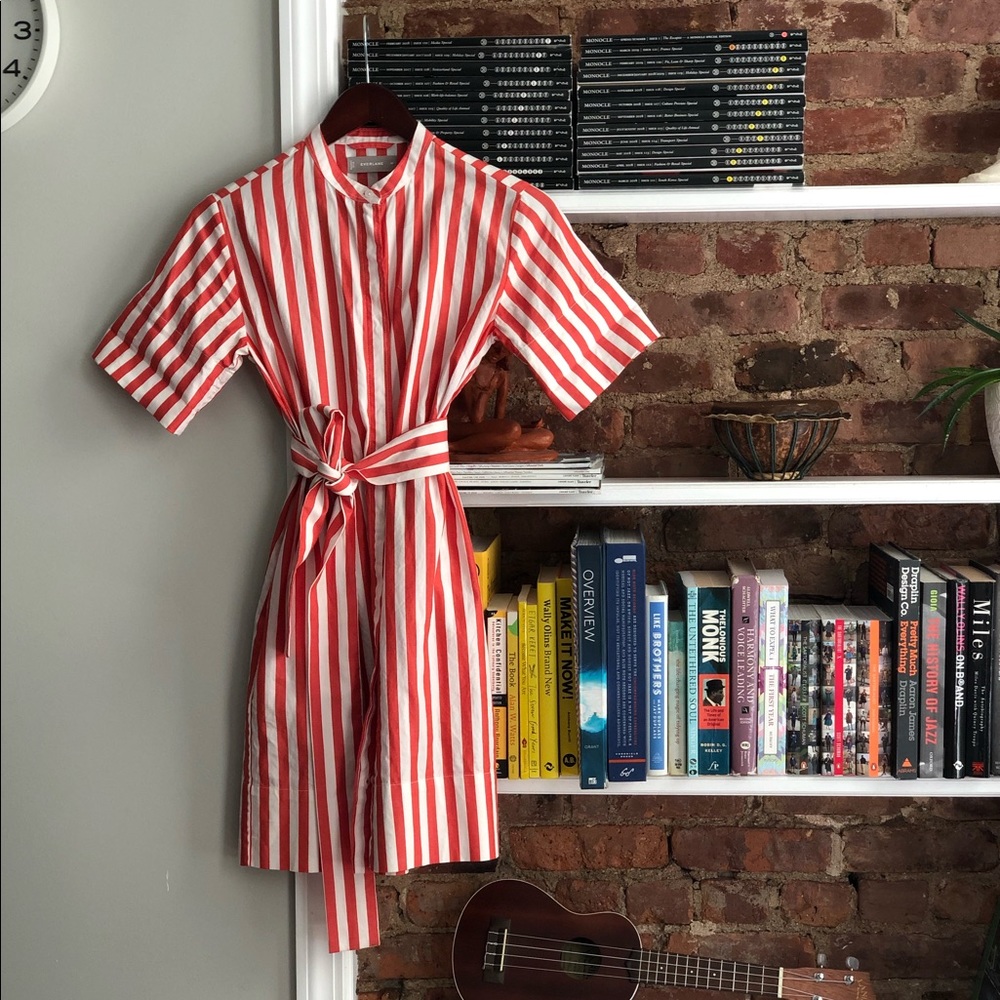 Everlane cotton collarless belted shirtdress